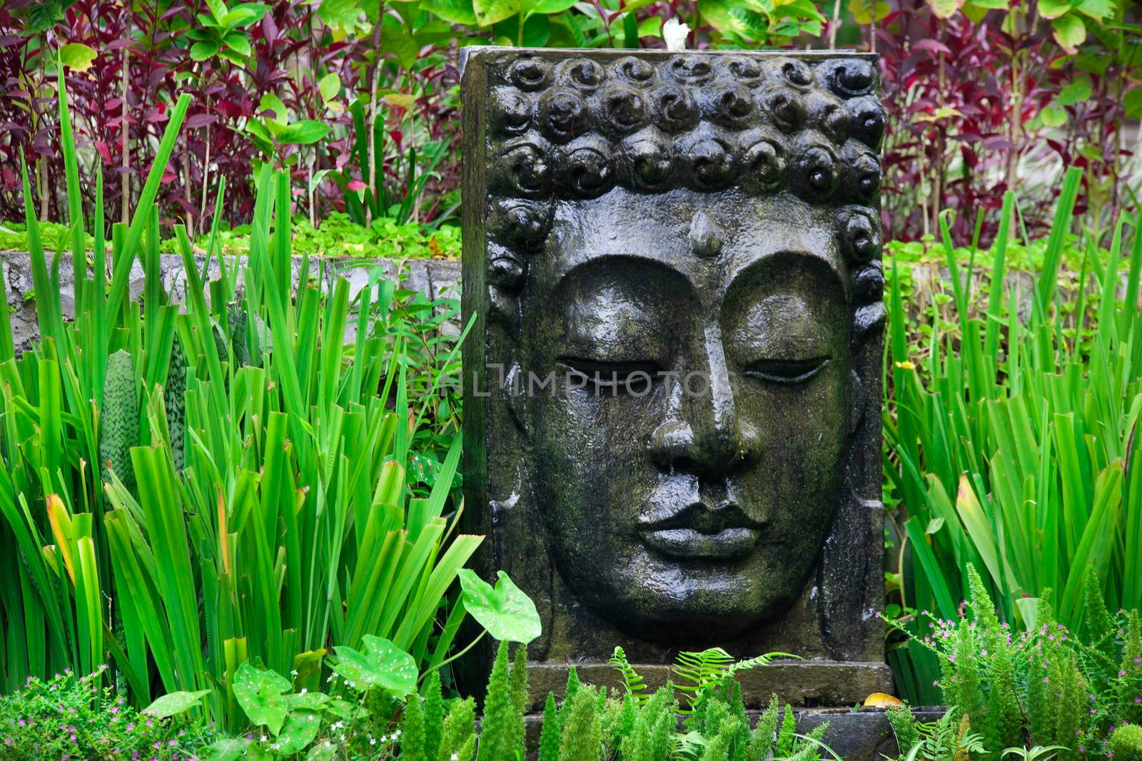 Buddha image with falling water in the tropical garden in Ubud, Bali. by Jyliana