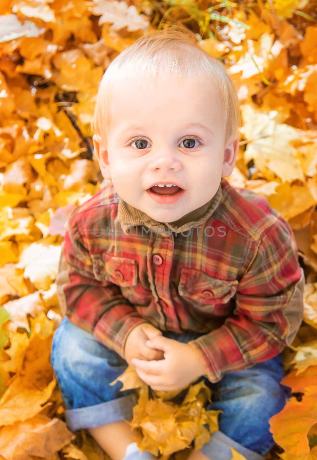 Little kid boy in the park on autumn leaves. Selective focus.