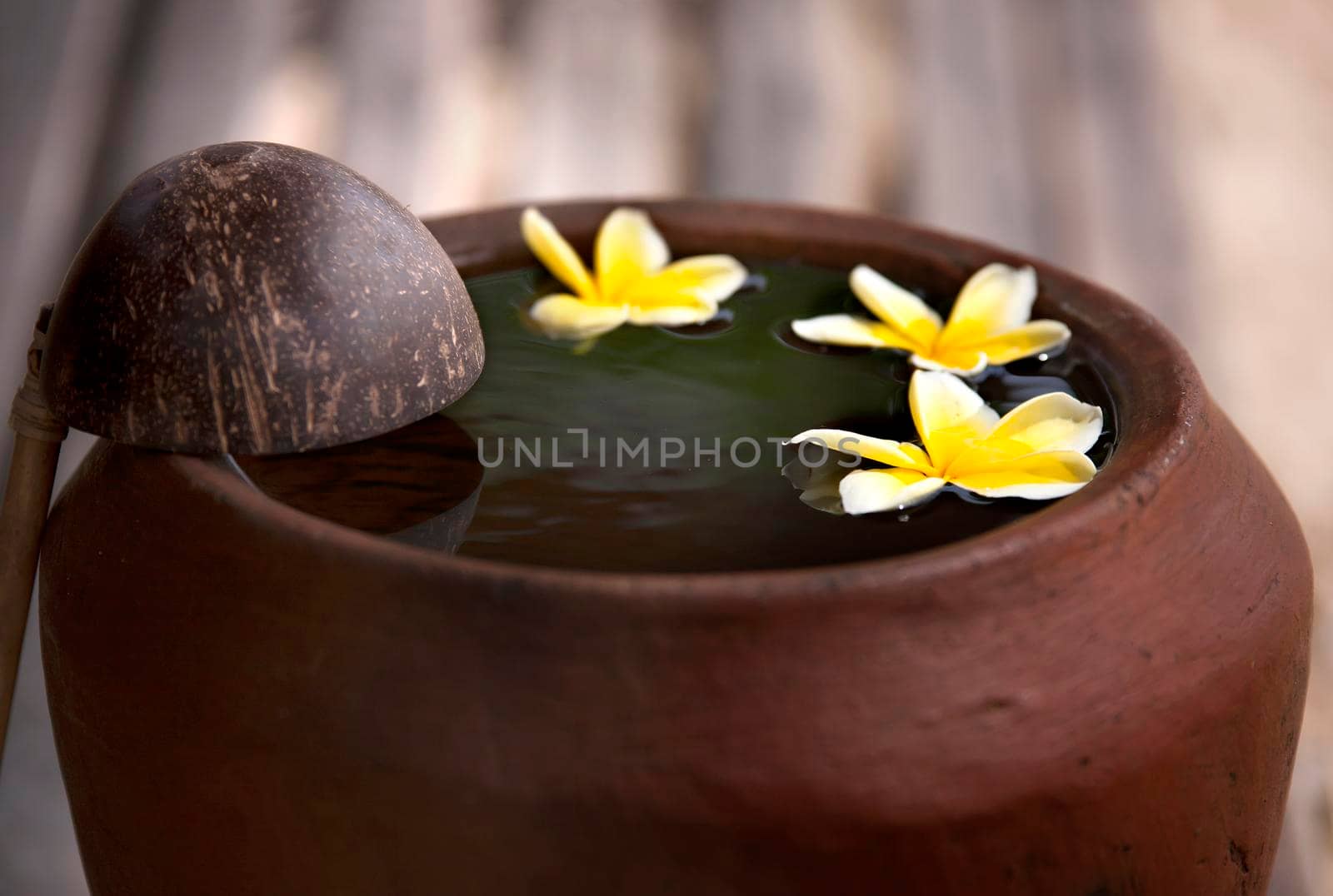 Clay jug with flower plumeria or frangipani decorated on water. Bowl in zen style for spa meditation mood by Jyliana