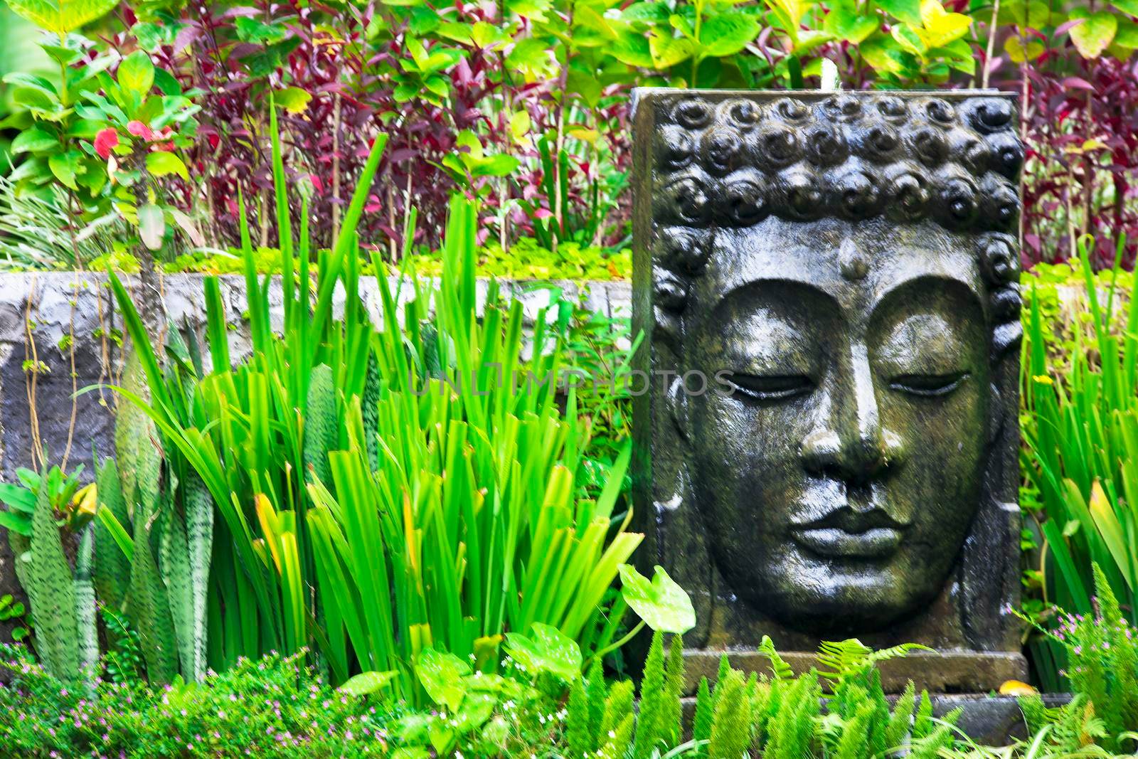 Buddha image with falling water in the tropical garden in Ubud, Bali. by Jyliana