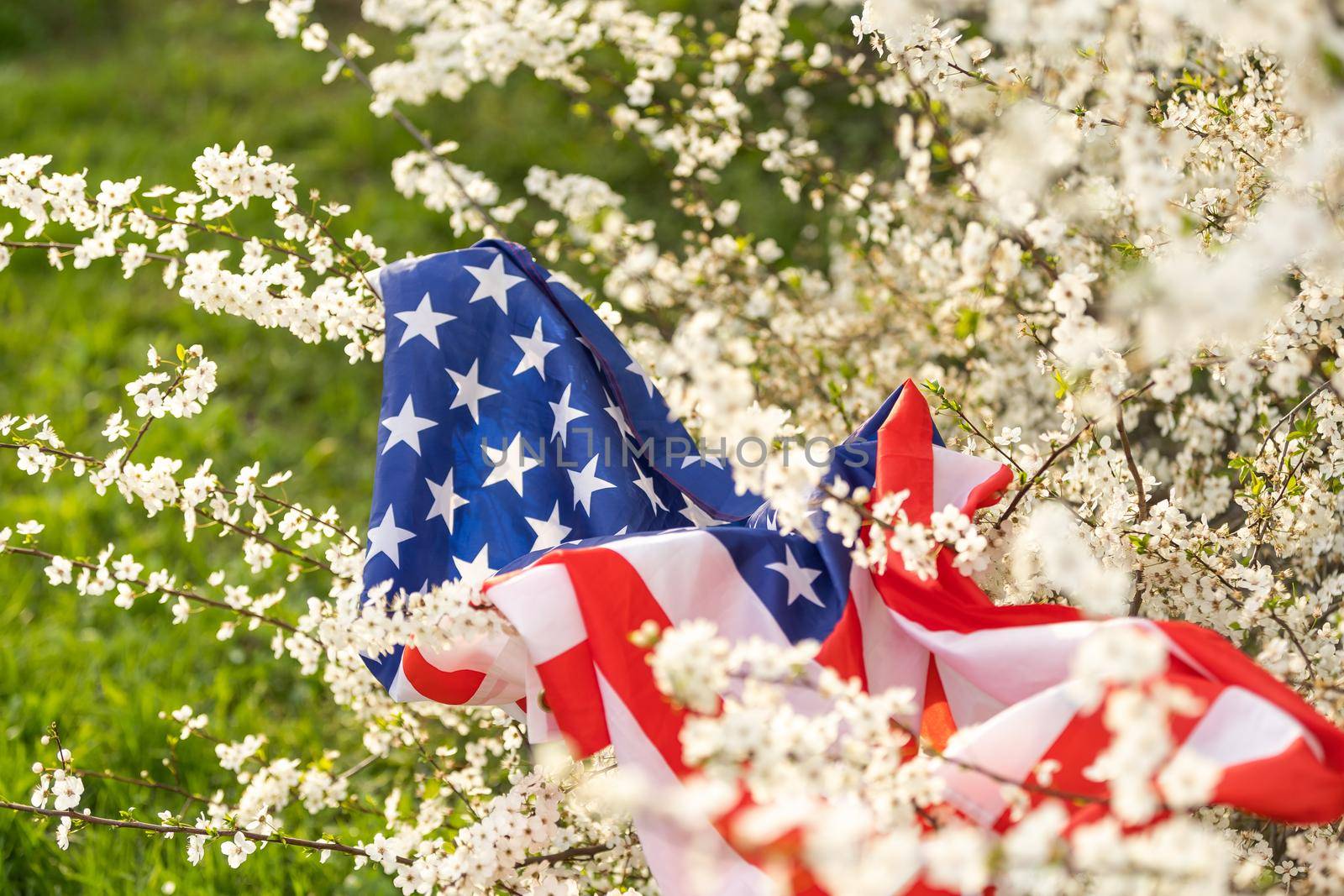 American flags in flowers on the Fourth of July.