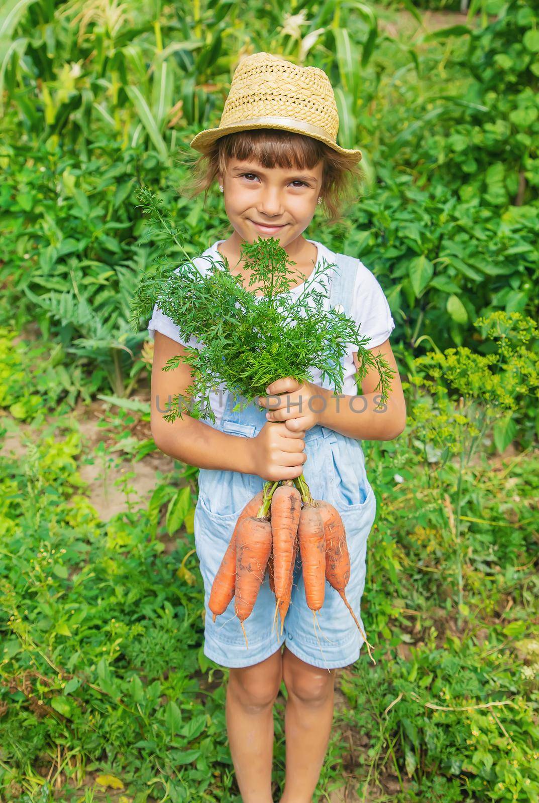 A child with a bunch of carrots in the garden. Selective focus. by yanadjana