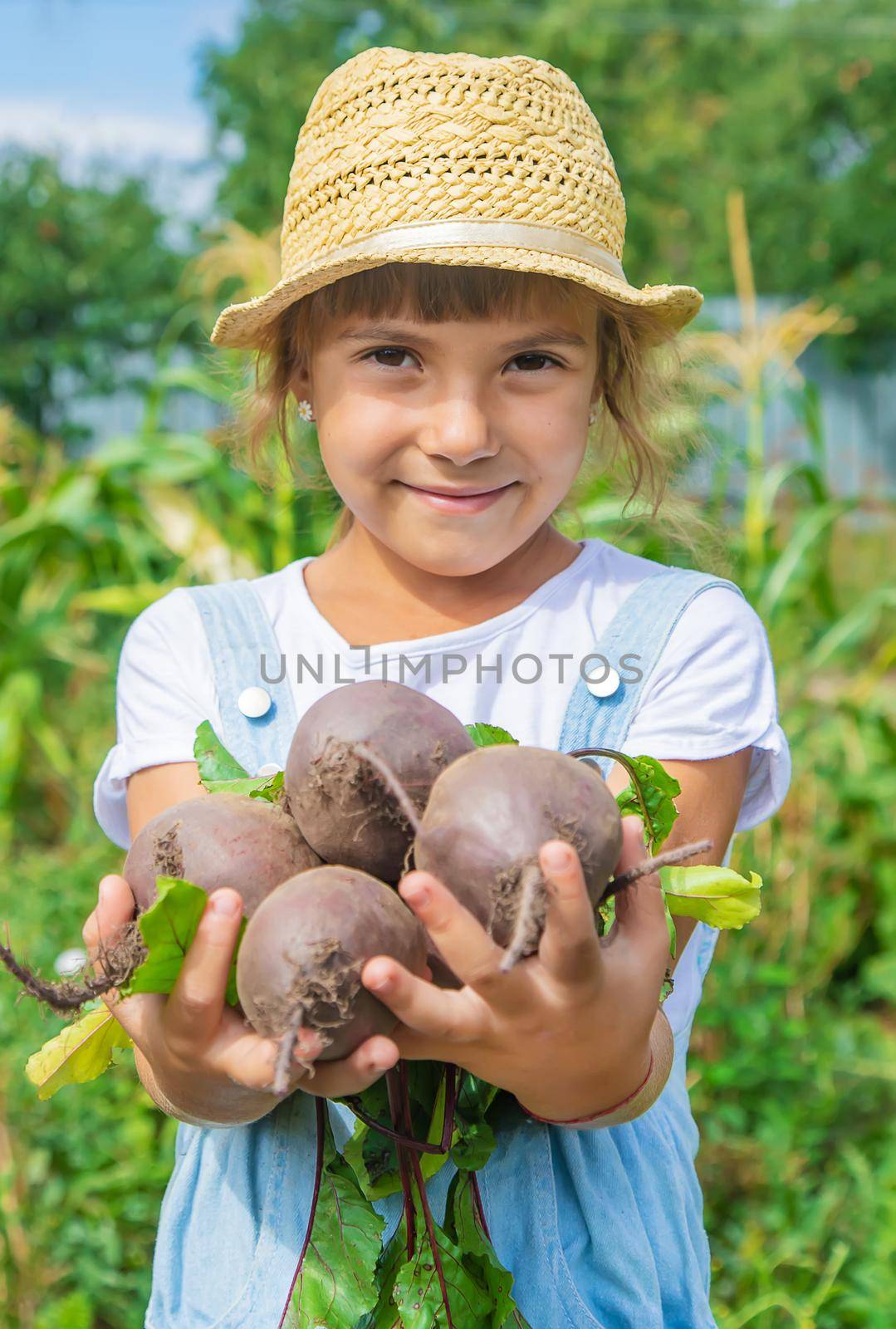 A child with a bunch of beets in the garden. Selective focus.