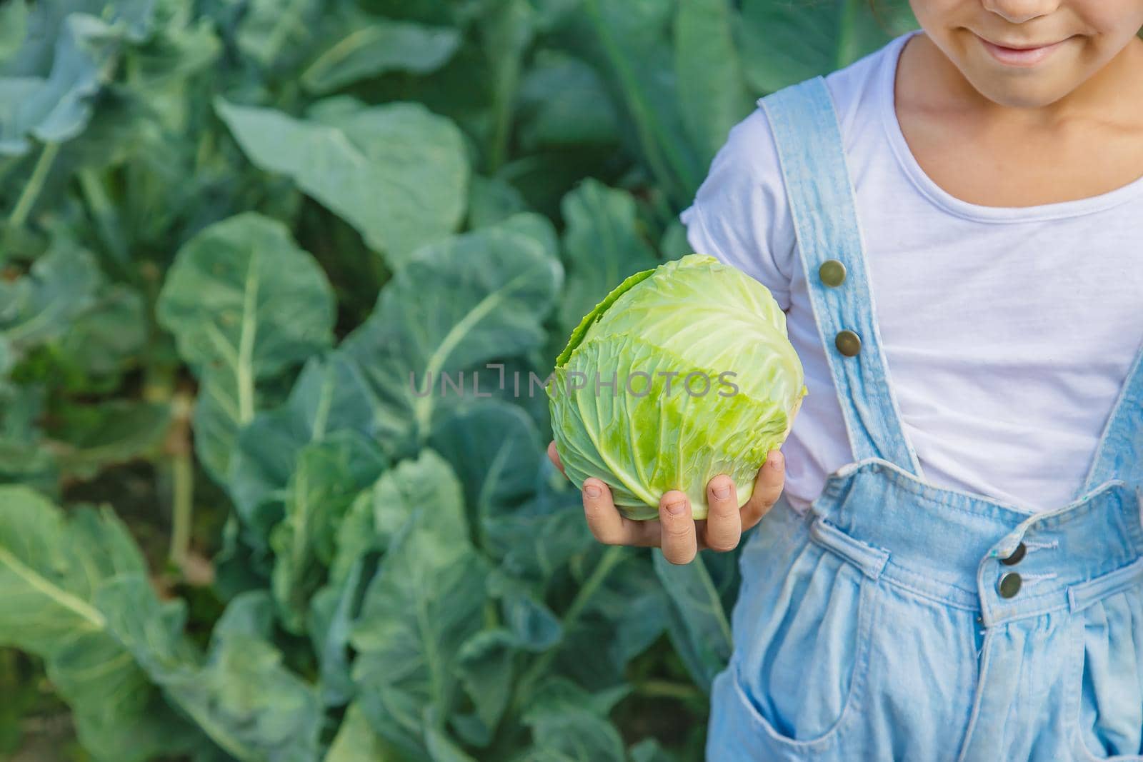 Child with cabbage and broccoli in the hands. Selective focus. nature.