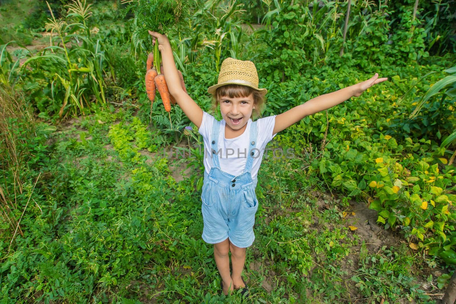 A child with a bunch of carrots in the garden. Selective focus. by yanadjana