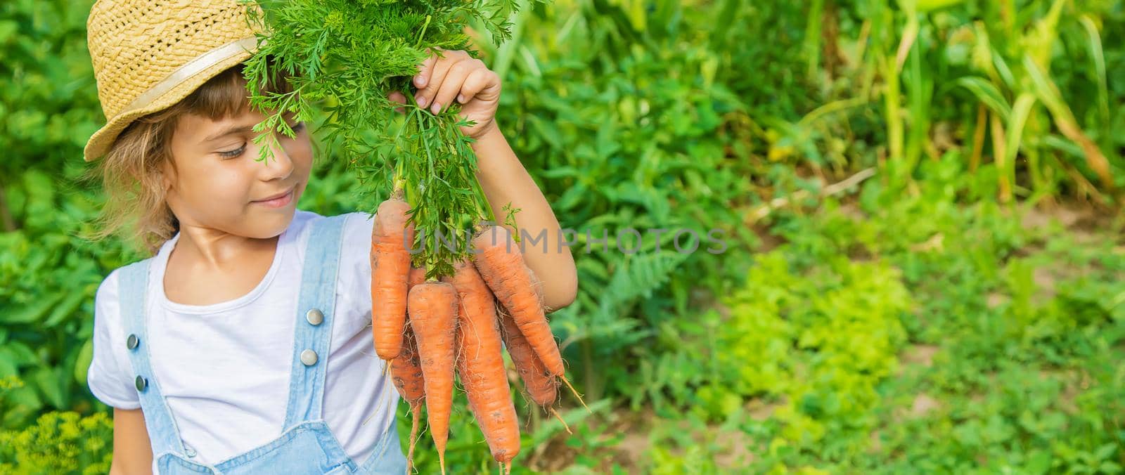 A child with a bunch of carrots in the garden. Selective focus. by yanadjana