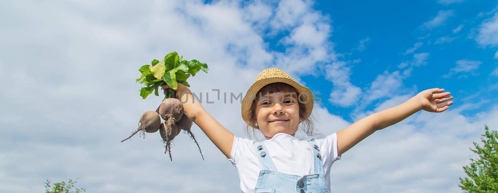 A child with a bunch of beets in the garden. Selective focus. by yanadjana