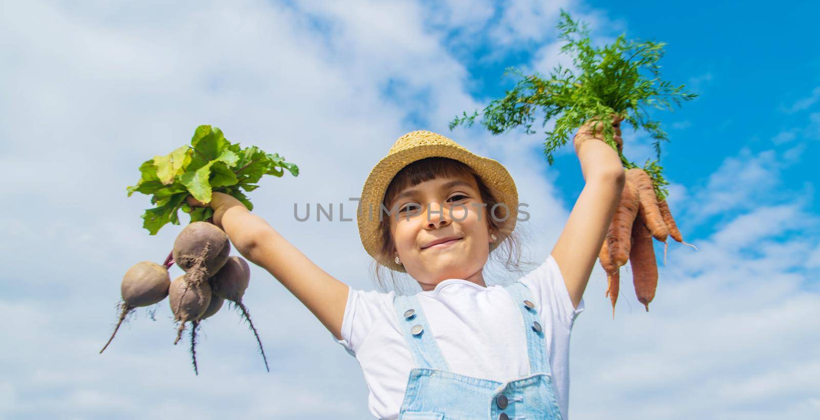 A child with a bunch of beets in the garden. Selective focus. nature.