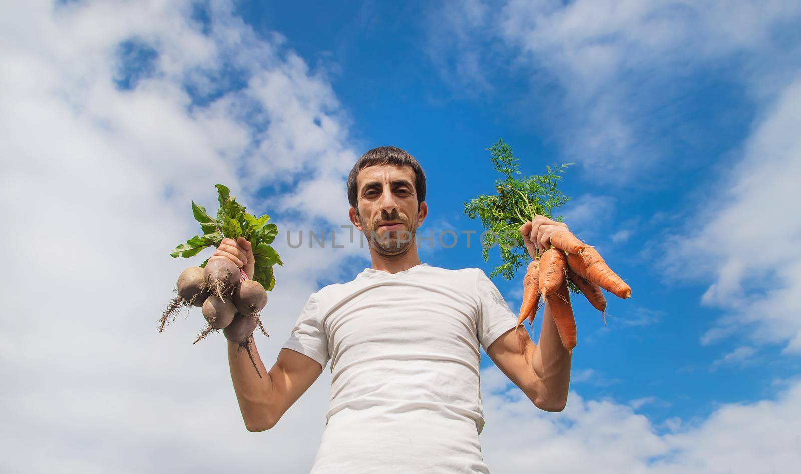 man with a bunch of carrots and beets in the garden. Selective focus.