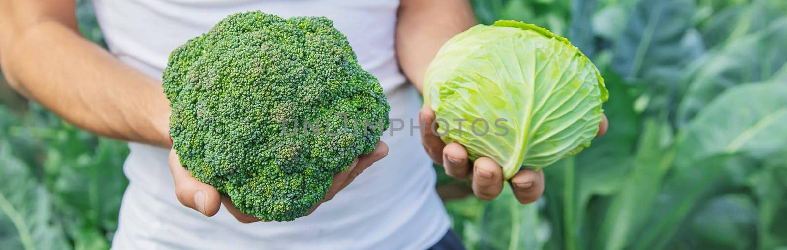 Man farmer with cabbage and broccoli in his hands. Selective focus. by yanadjana