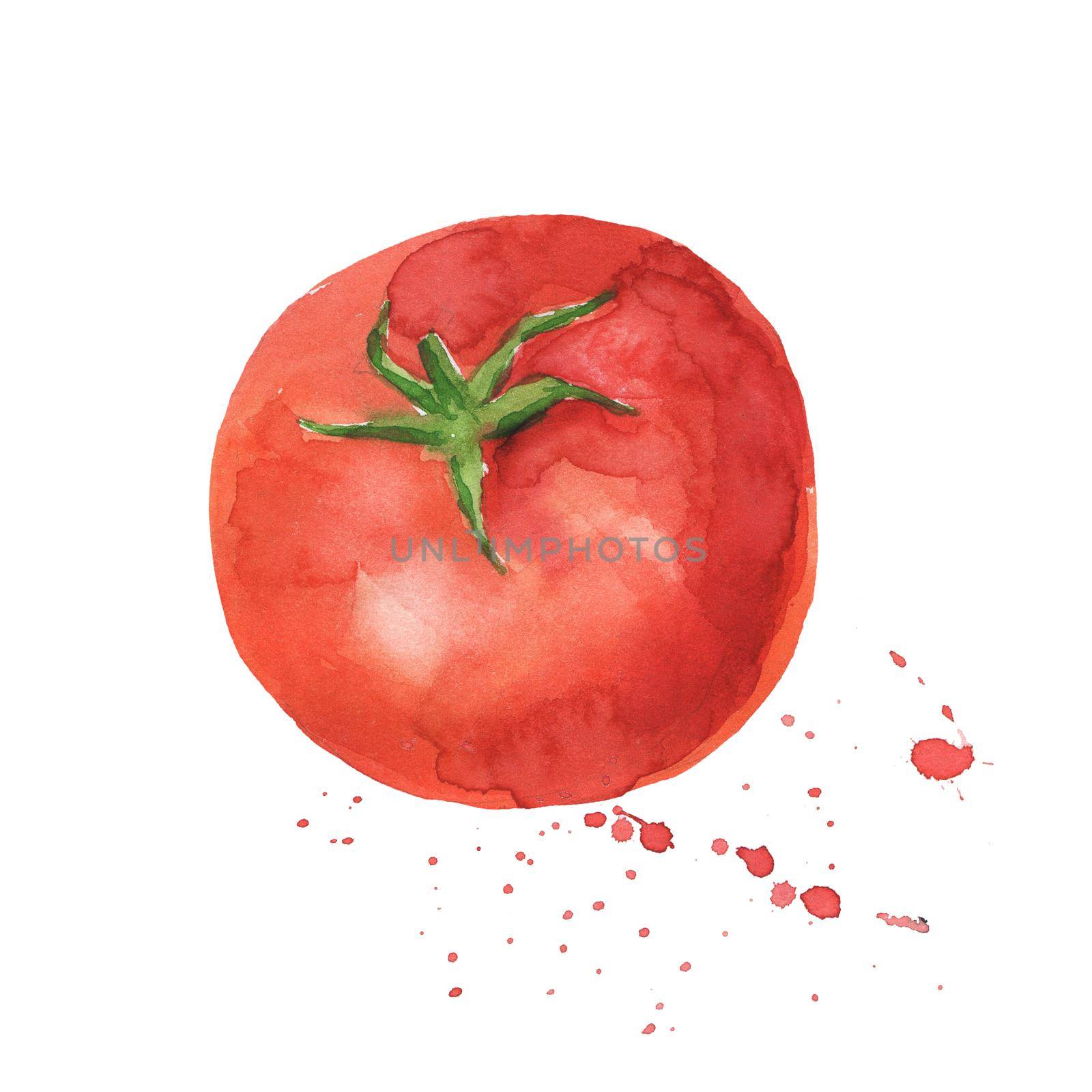 Watercolor tomato. Painting raw vegetable isolated on white background