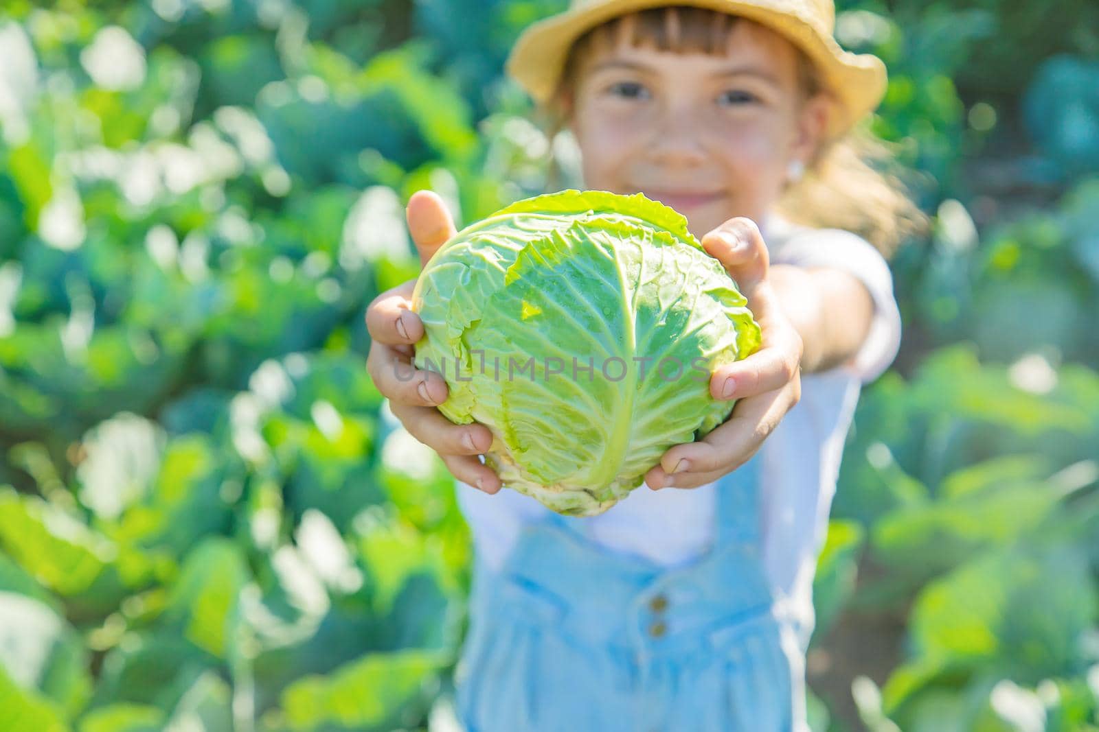 Child with cabbage and broccoli in the hands. Selective focus.