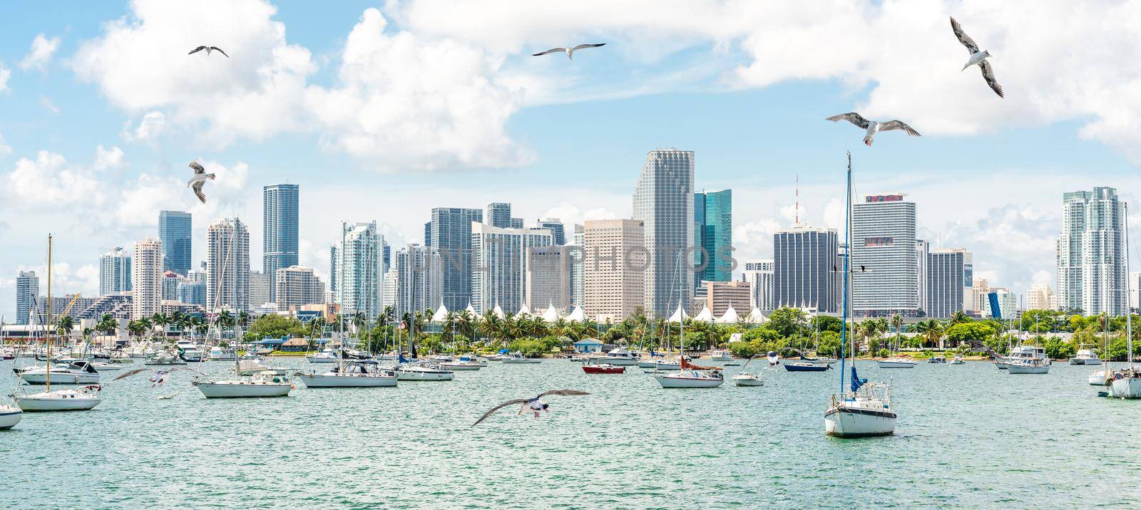 Miami skyline with many yachts and boats
