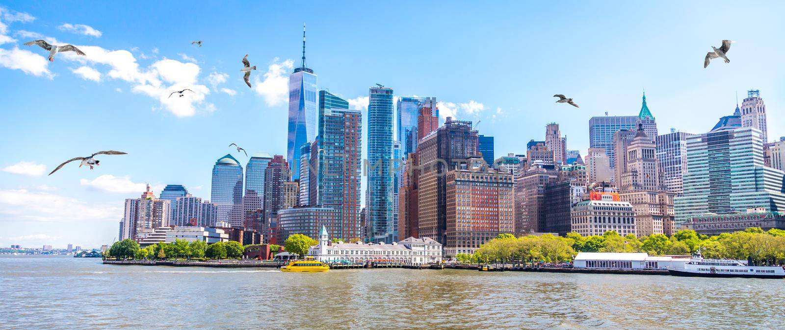 Skyline panorama of downtown Financial District and Lower Manhattan in New York City , USA with seagulls on foreground by Mariakray