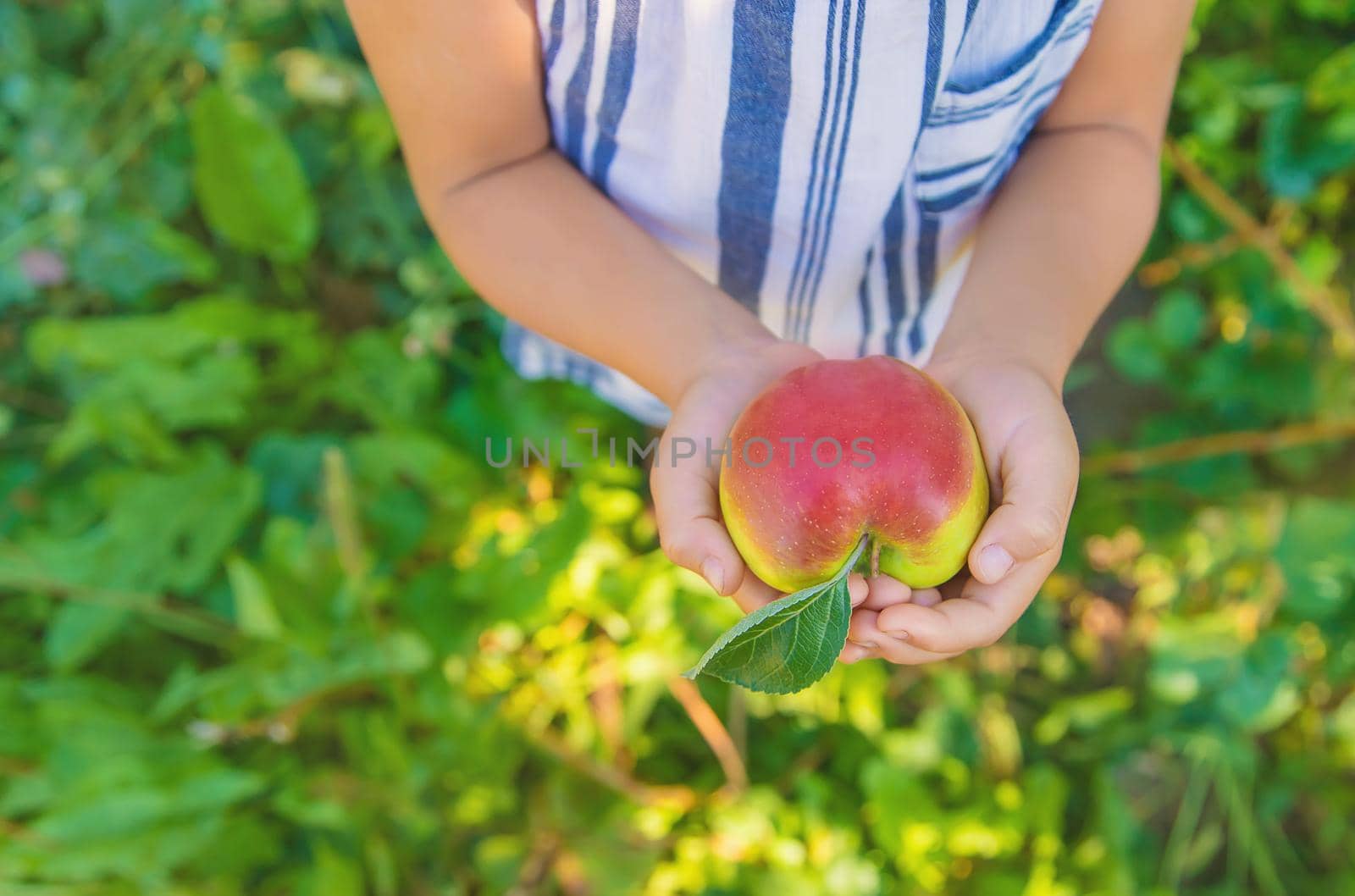 child with an apple in the garden. Selective focus. by yanadjana