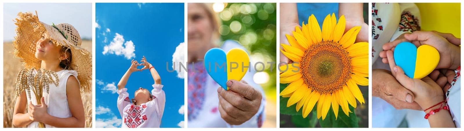 Collage of photos on the theme of Ukraine. Selective focus. by yanadjana
