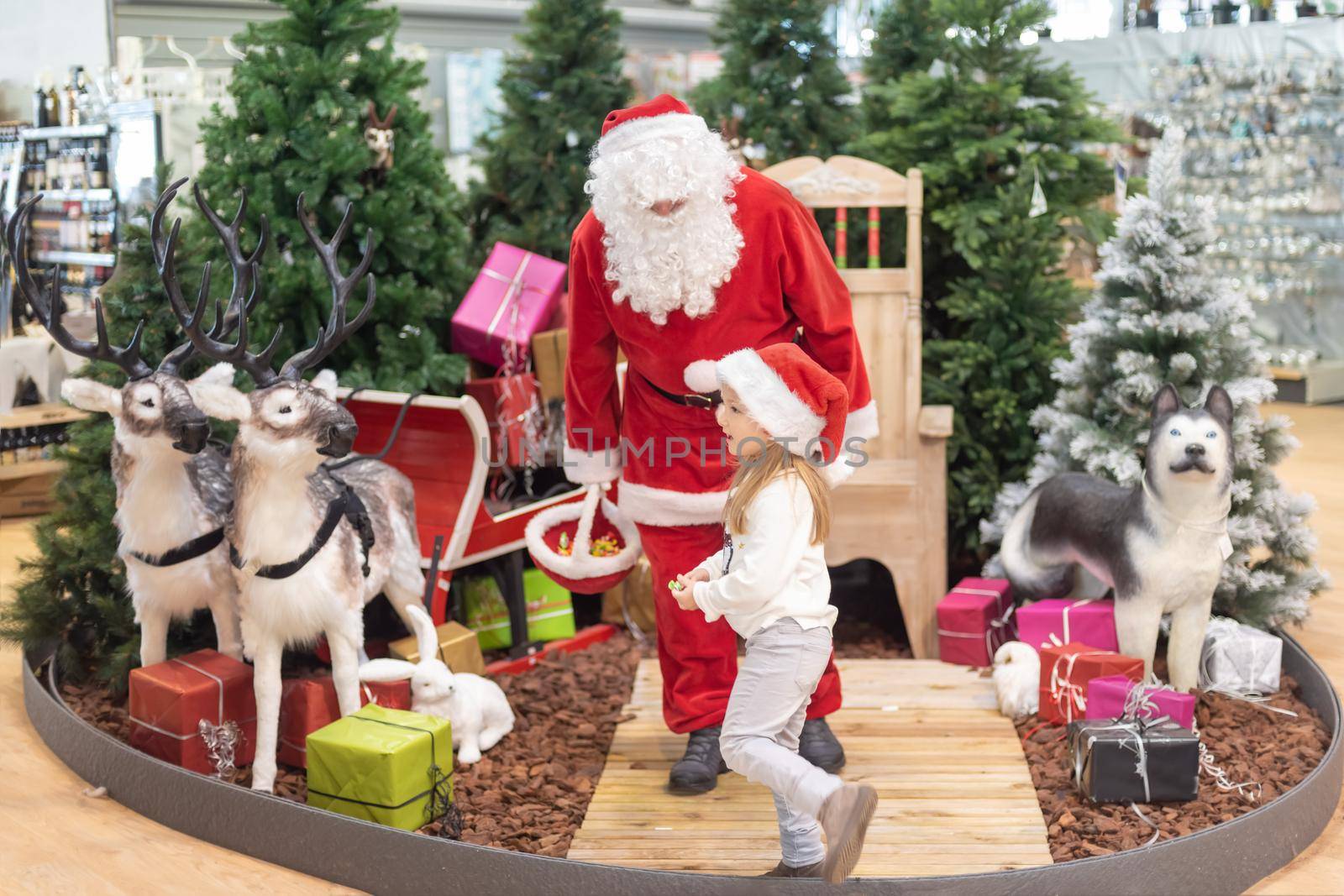 Girl in a hat visiting Santa Claus in a shop