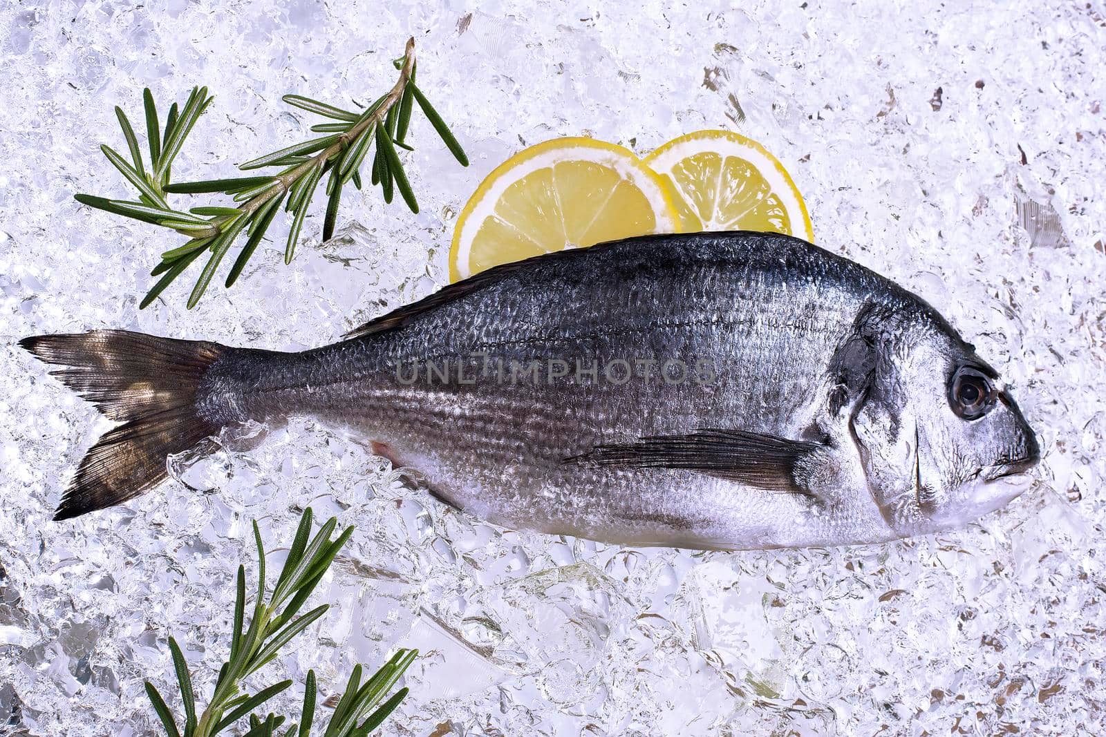 fresh dorado seafood on ice - Stock image