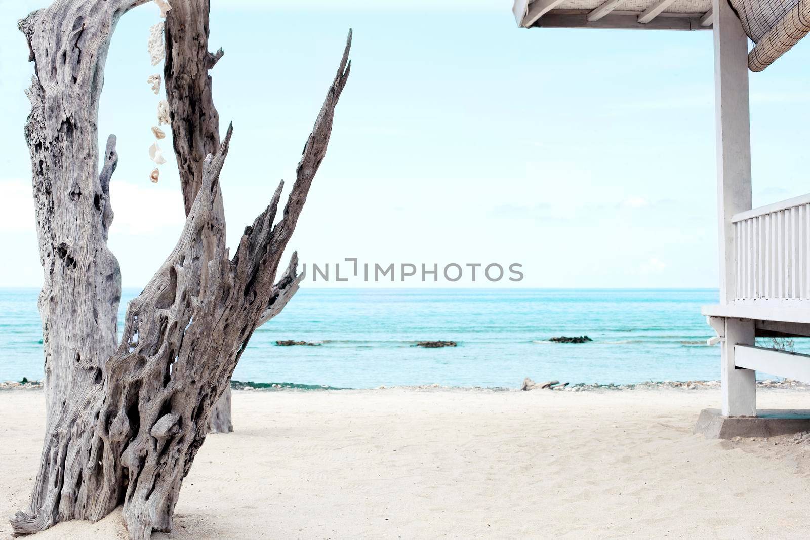 White wooden shelter and dead tree from the sun on the beach in Bali. Stock image.