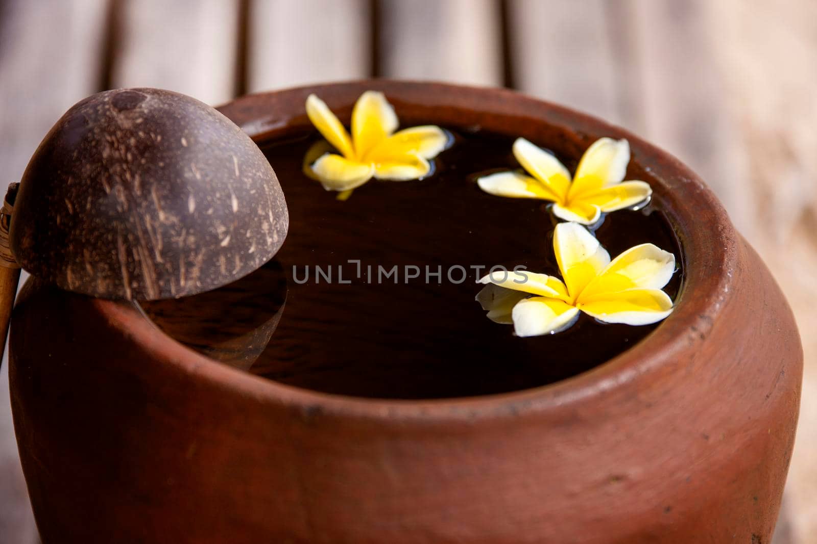 Clay jug with flower plumeria or frangipani decorated on water. Bowl in zen style for spa meditation mood by Jyliana