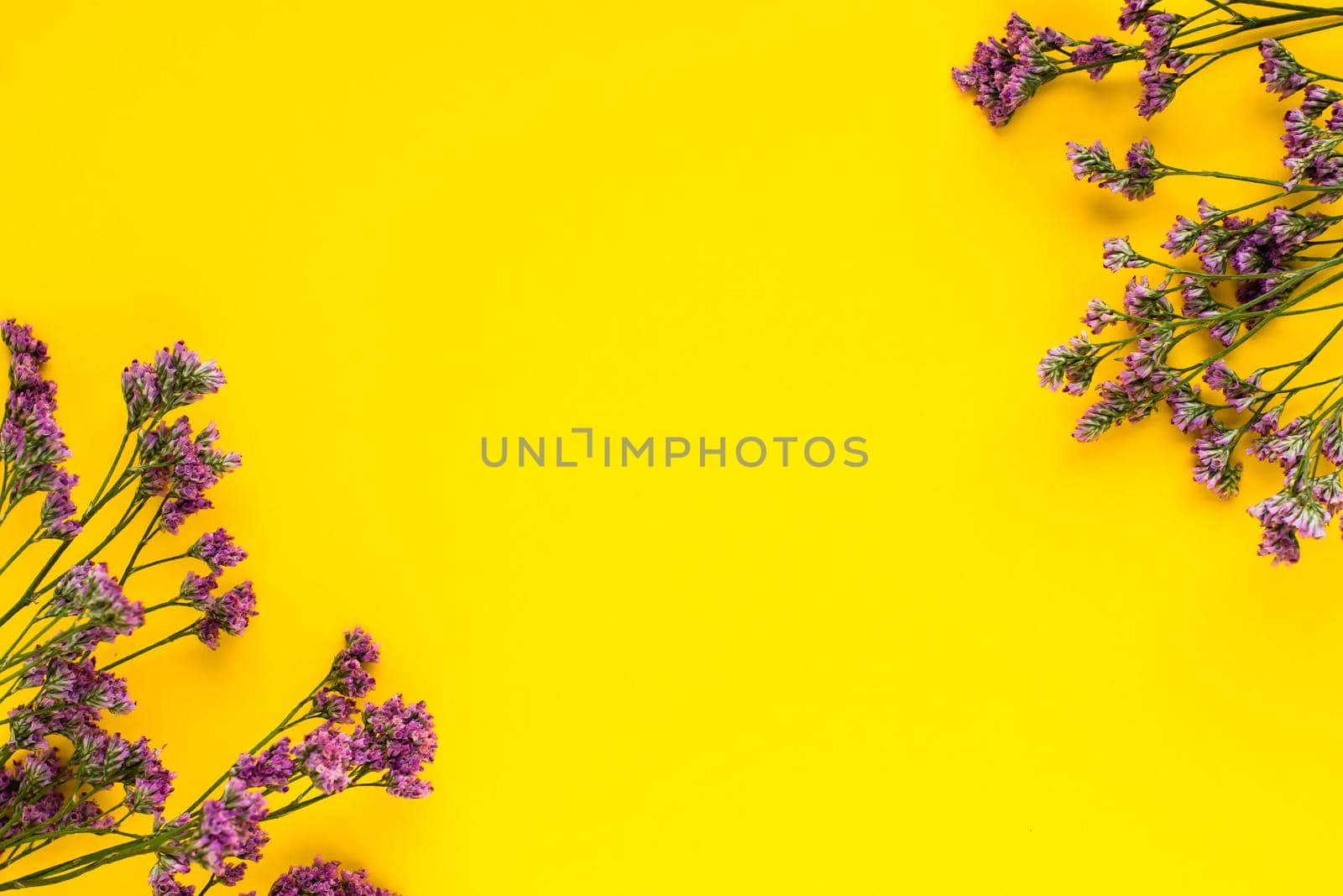 Summer Dried Flowers on Yellow Background. Minimalist flat lay background for mock-up template. by iliris