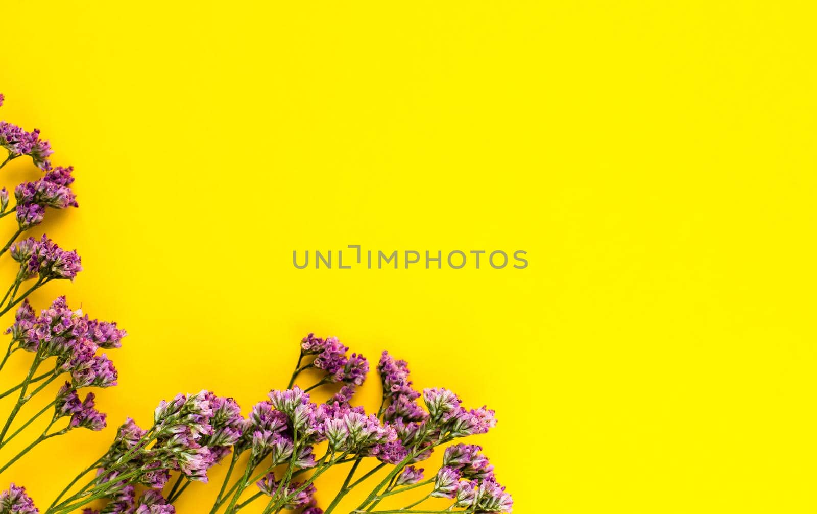 Summer Dried Flowers on Yellow Background. Minimalist flat lay background for mock-up template. by iliris