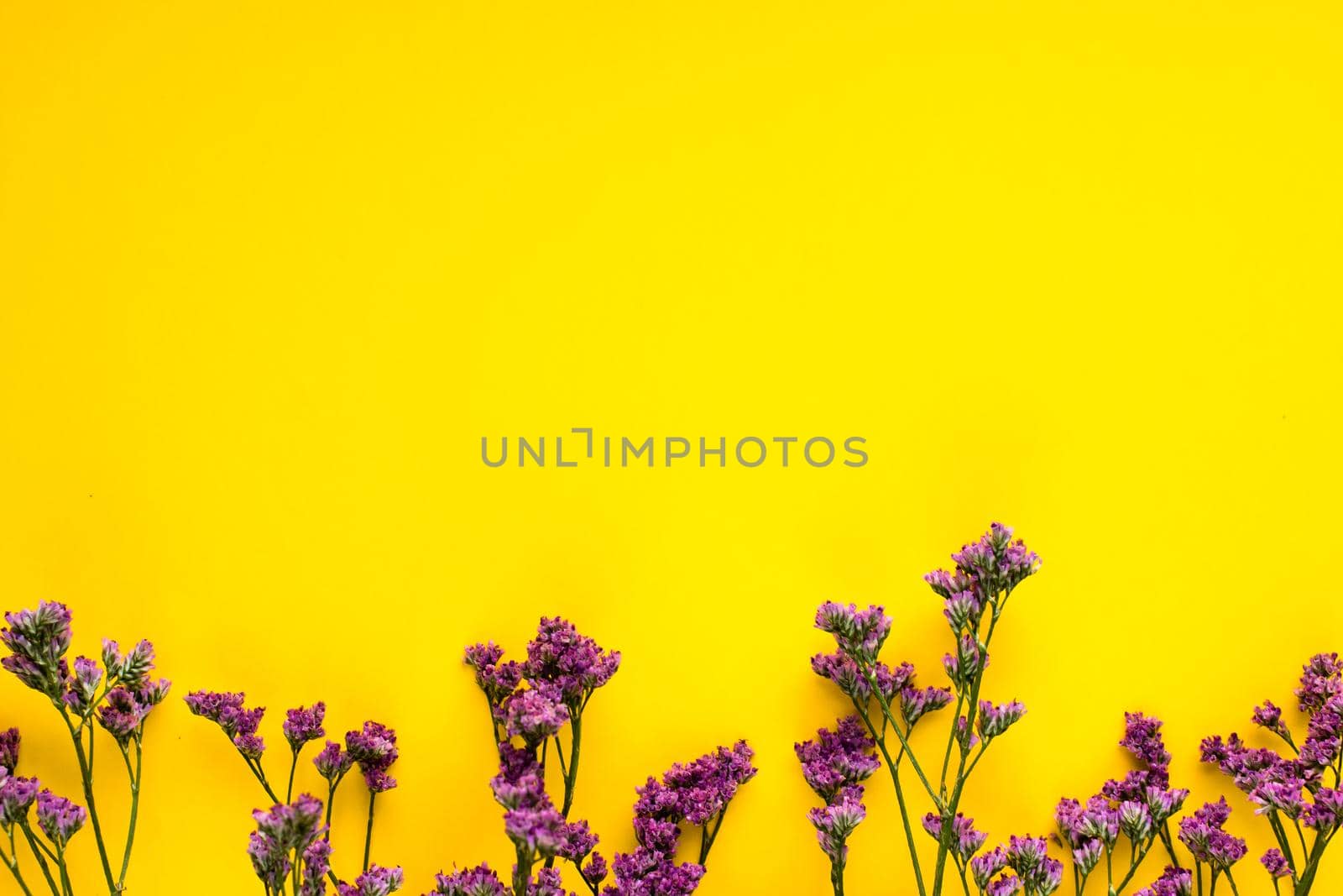 Summer Dried Flowers on Yellow Background. Minimalist flat lay background for mock-up template. by iliris