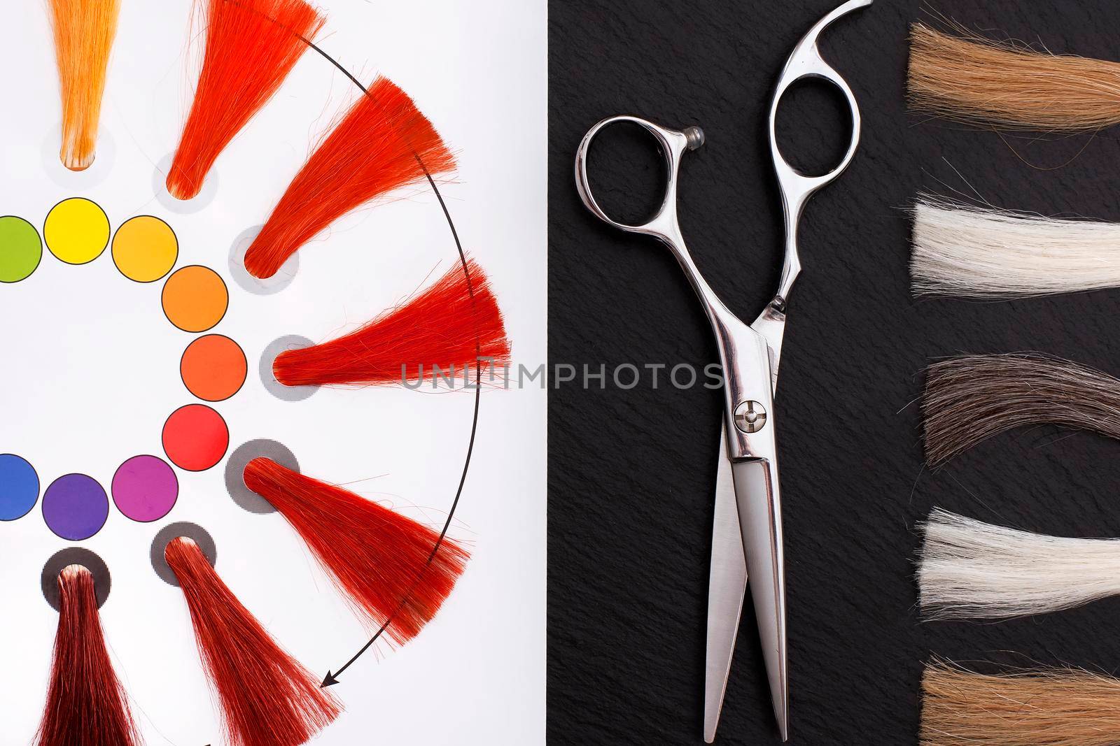 Coloristic circle. Hairdresser Accessories by Jyliana