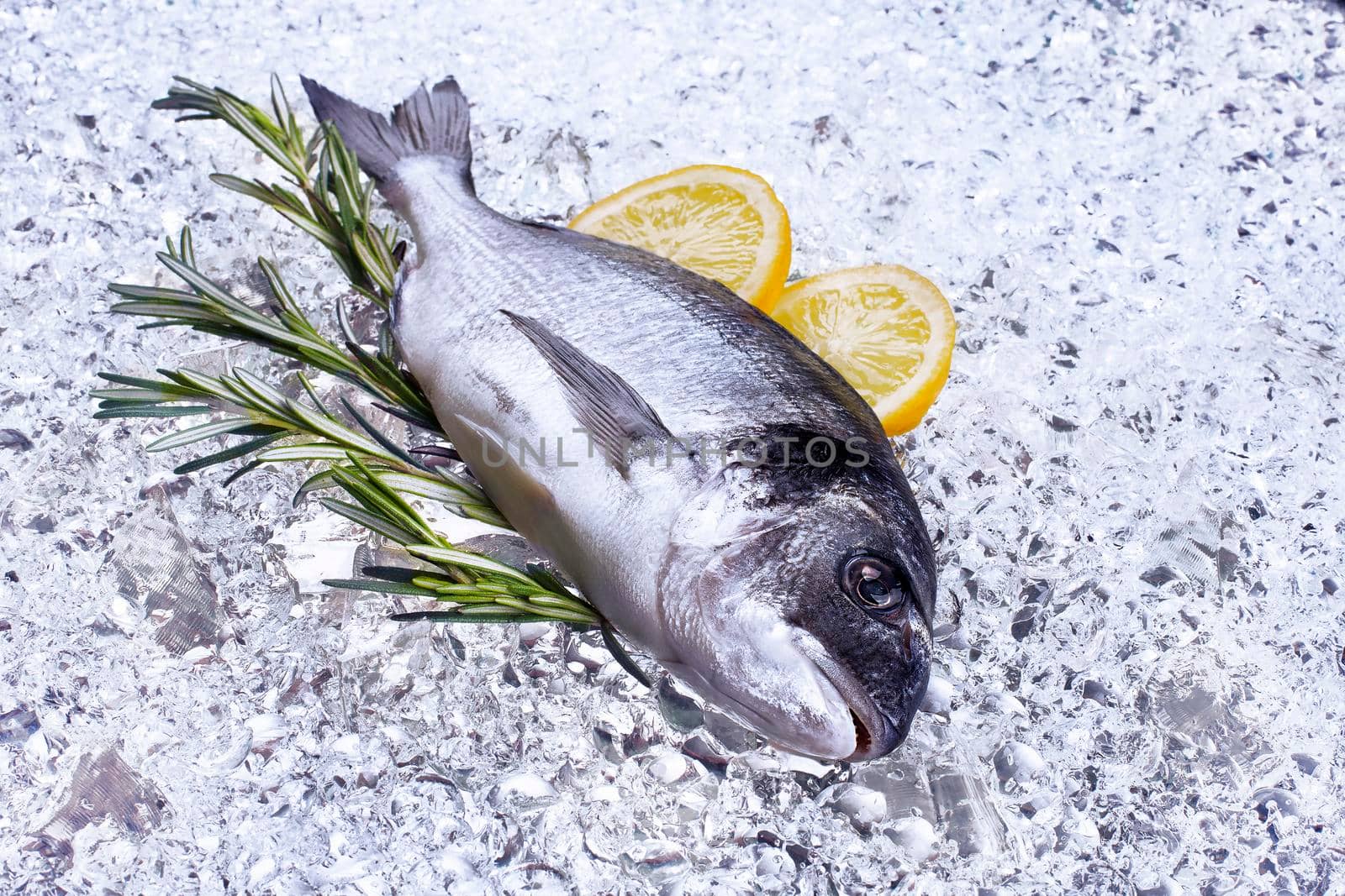 fresh dorado seafood on ice - Stock image