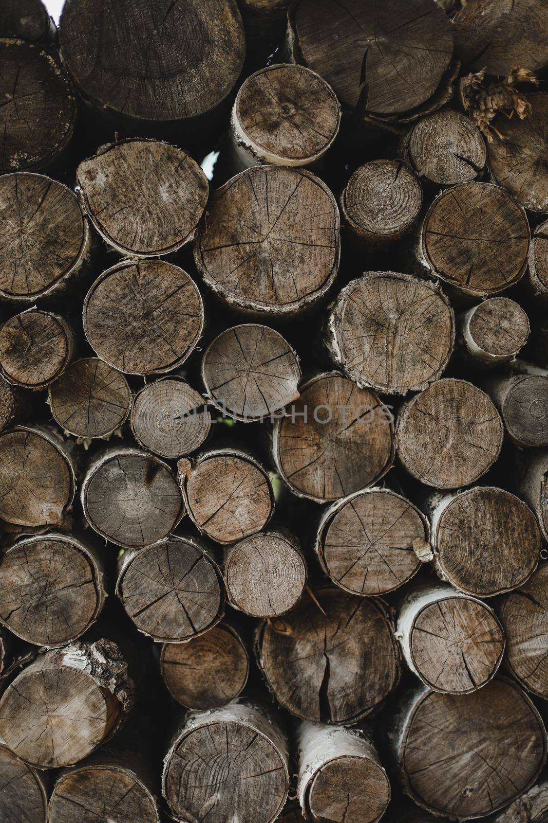 texture of wooden logs of different sizes lying in a heap.