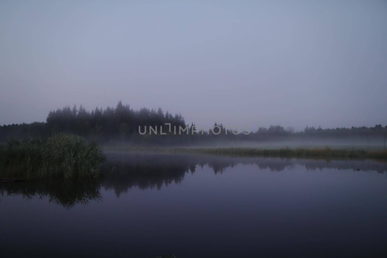 summer evening twilight view on picturesque plain lake surface with reflections of sky and trees.