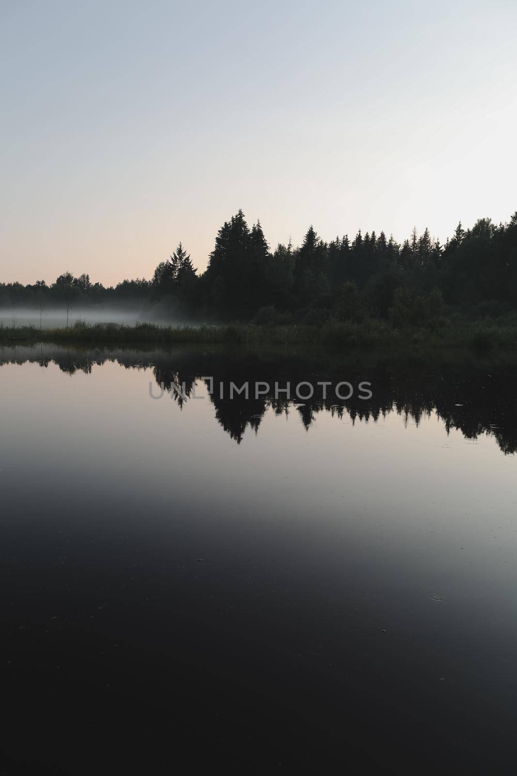 summer evening twilight view on picturesque plain lake surface with reflections of sky and trees.