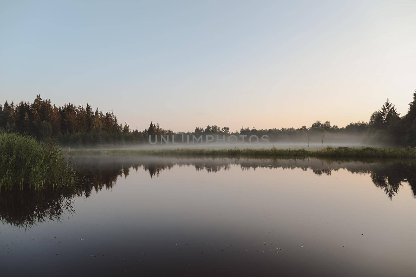 summer evening twilight view on picturesque plain lake surface with reflections of sky and trees.
