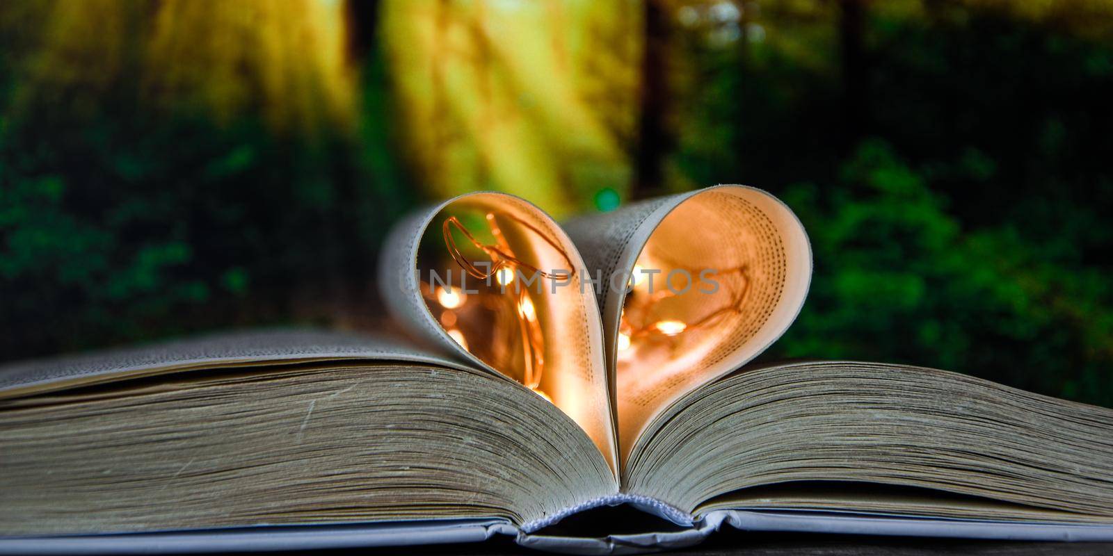 Book with love symbol isolated on forest nature background, Love books, love to read, love stories, heart shape from paper book, Romantic background with the book