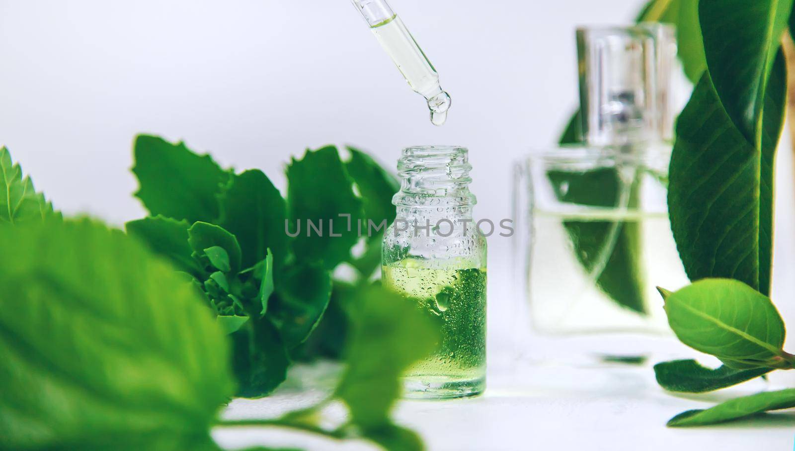 Perfume and cosmetics with green leaves. Selective focus. by yanadjana