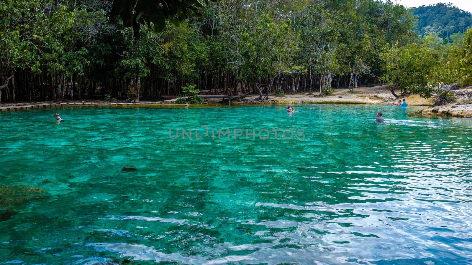 Emeral lake Blue pool Krabi Thailand mangrove forest Krabi Thailand.