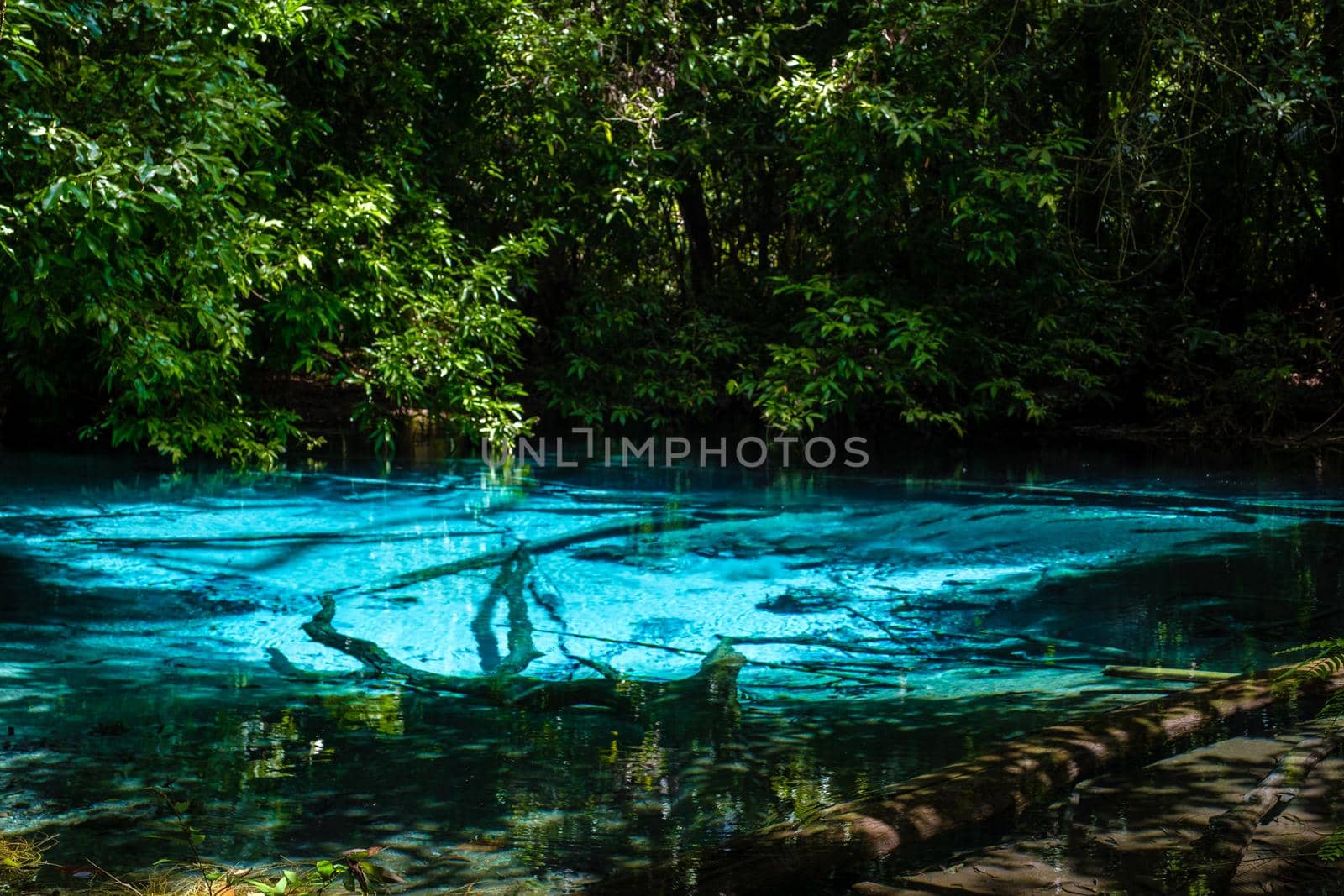 Emerald lake and Blue pool Krabi Thailand mangrove forest Krabi Thailand. by fokkebok