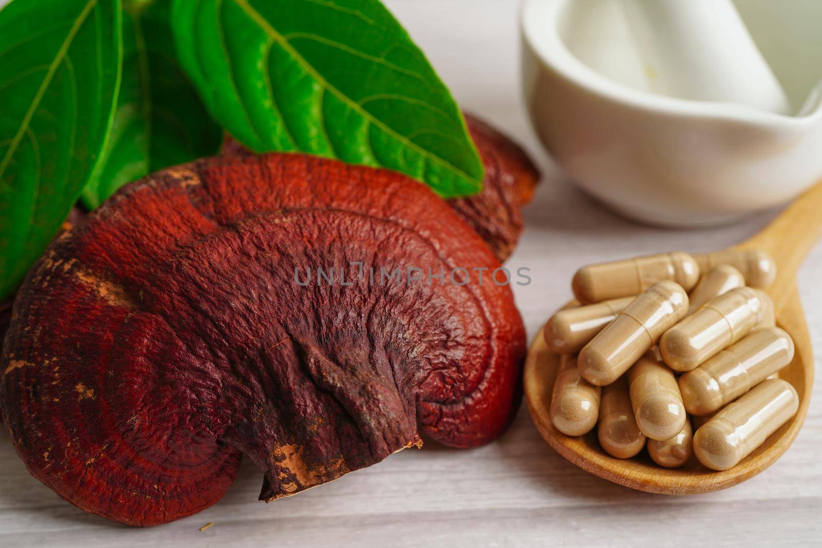 Lingzhi or Reishi mushroom with capsules, organic natural healthy food.
