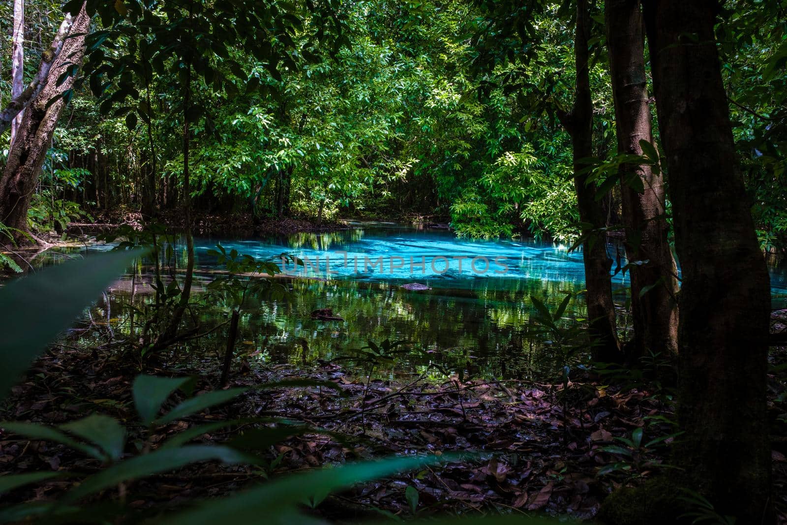 Emerald lake and Blue pool Krabi Thailand mangrove forest Krabi Thailand. by fokkebok