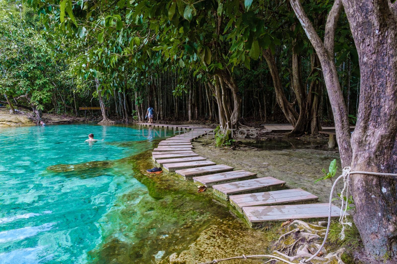 Emerald lake and Blue pool Krabi Thailand mangrove forest Krabi Thailand. by fokkebok