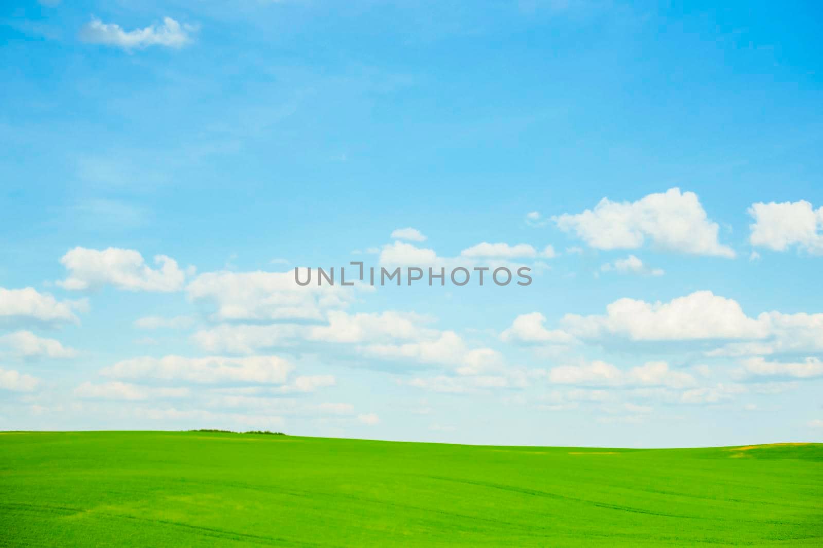 Clouds in a crystal clear, cool-blue sky, an meadow stretches out across a seemingly endless landscape of gentle hills. The grass is lush and vibrantly colored in several striking shades of green.