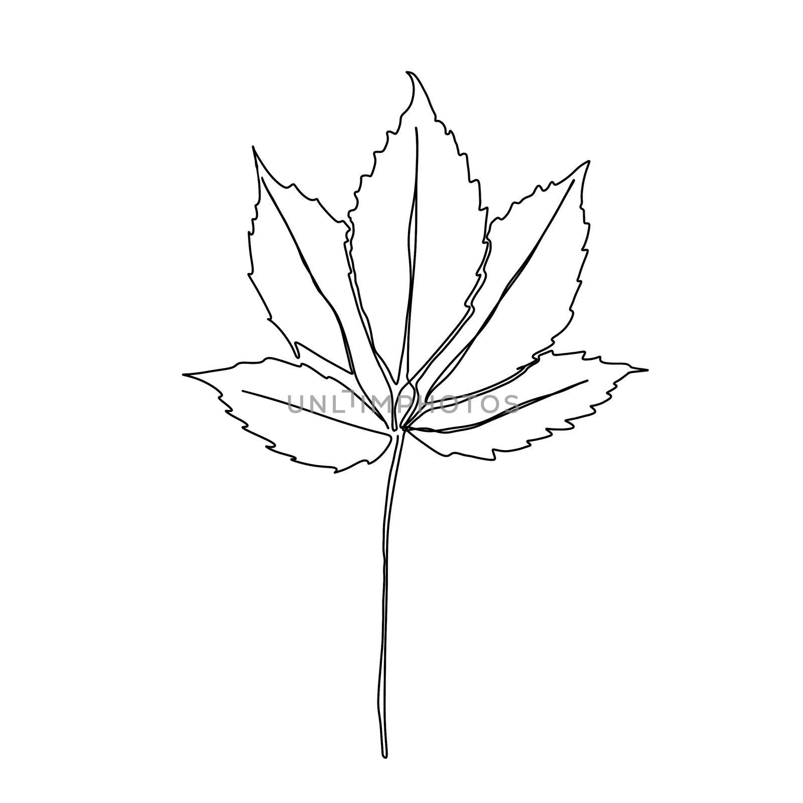Autumn leaf continuous line drawing. Autumn leaf one line style icon.