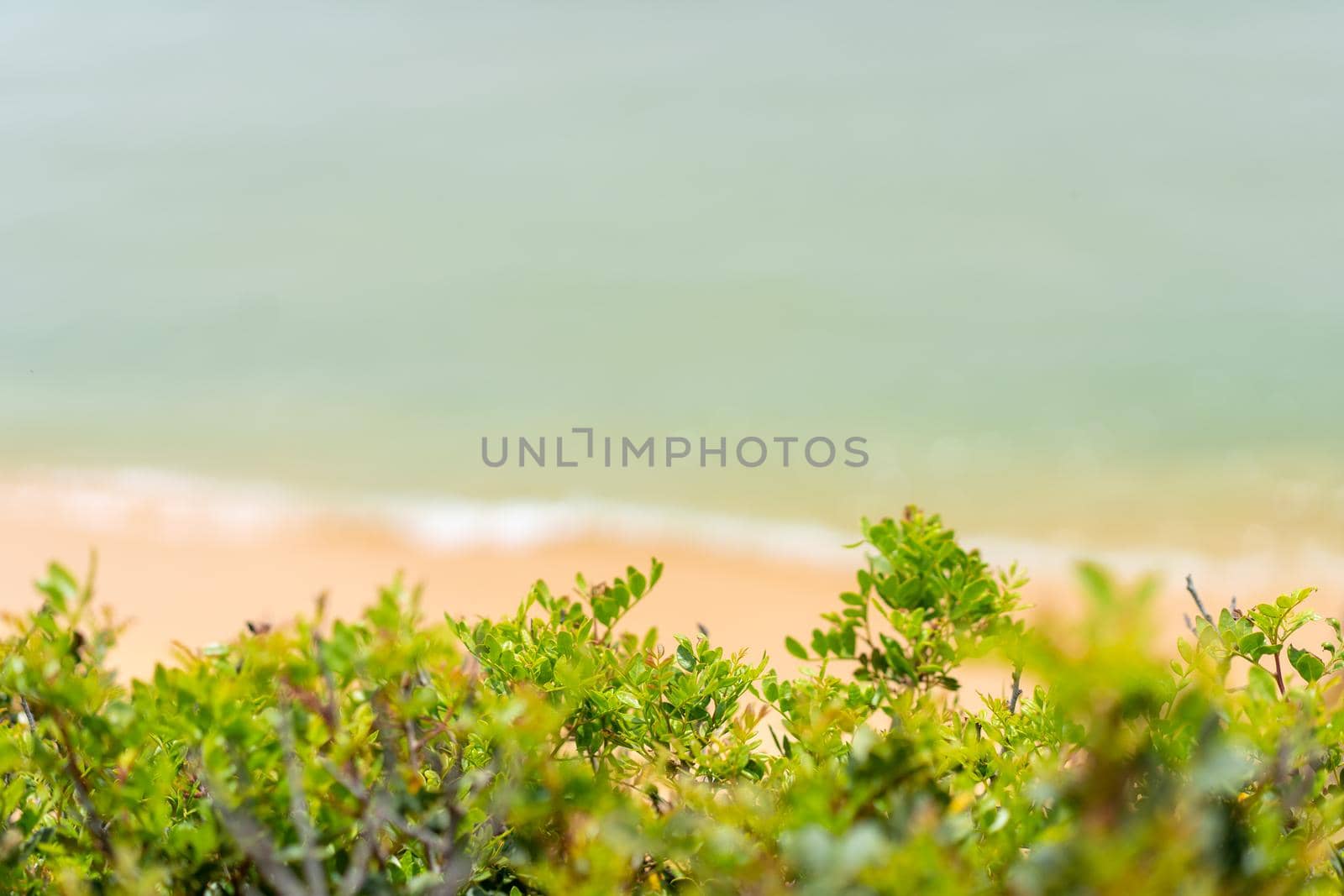 Aerial view of sea waves and sandy beach Atlantic ocean seashore