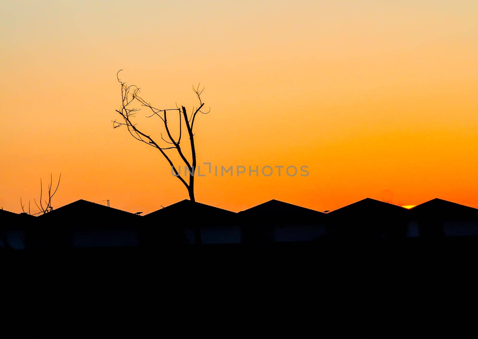 city urban gable roof houses figure silhouette at sunset orange sky