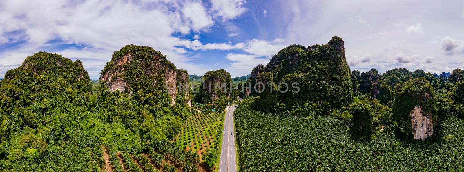 Beautiful road with traffic between palm trees and limestone mountains in Krabi Thailand by fokkebok
