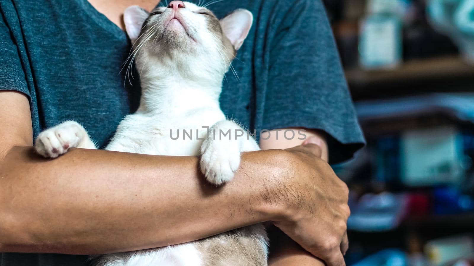 Asian man holding cat . best friend concept . man love cat idea background