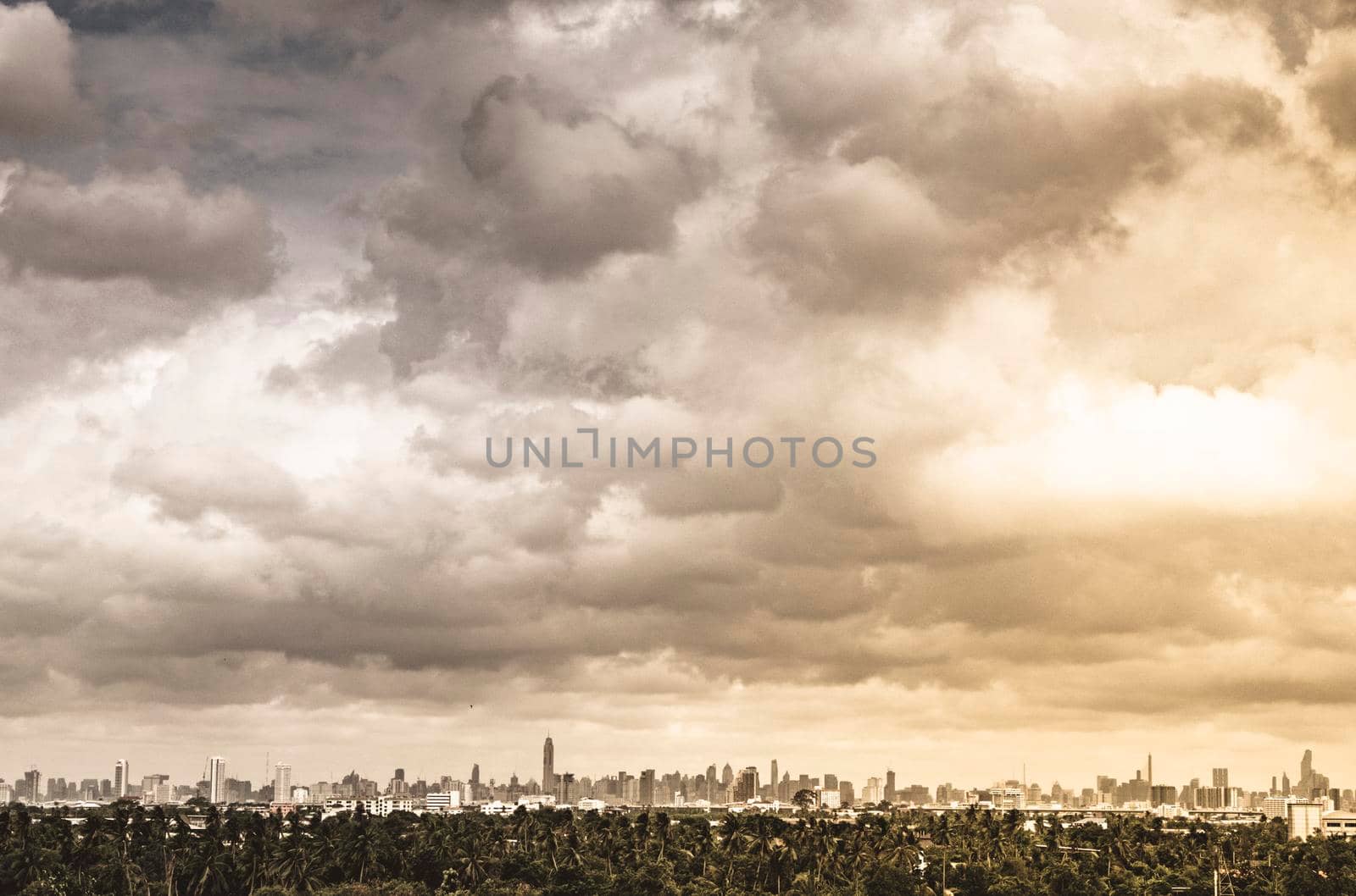 City. Architectural modern buildings in panoramic view on background .Tree nature area .the nature and modern city life. Urban concept .zoning idea save environment