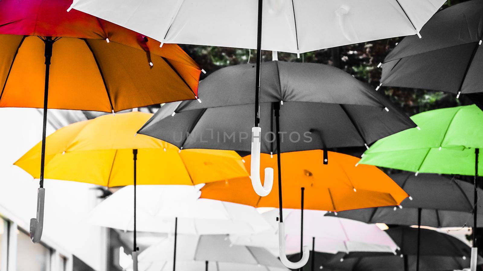 Street decorated with colored umbrellas. Lots of umbrellas coloring the sky in the city by Petrichor