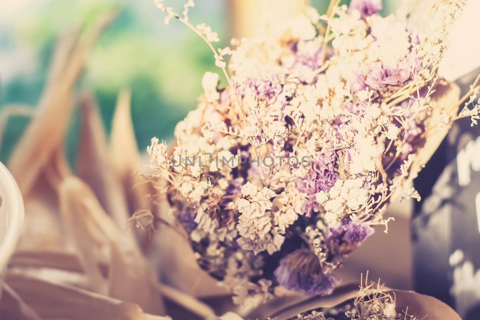 Dry color grass flower for interior decoration. Flower. Bouquet of lavender at home, shadow of flowers in wall, coziness