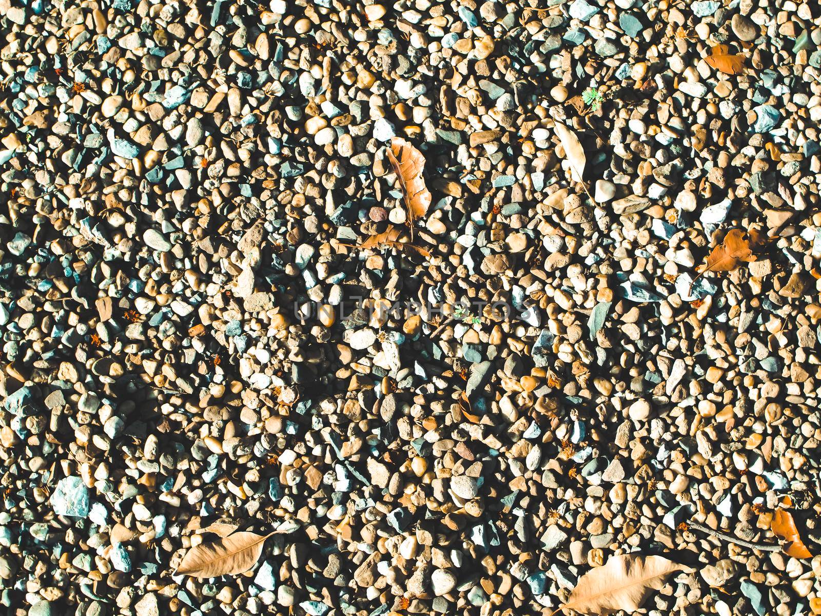 Pebble or stone and rock dried fallen leaves ground on sand beach or river summer holiday background by Petrichor